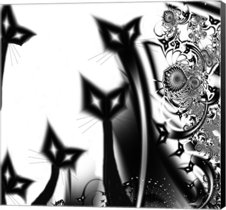 Framed Black Cats Print