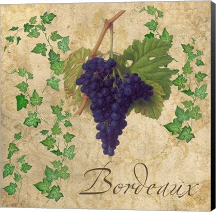 Framed Bordeaux Print
