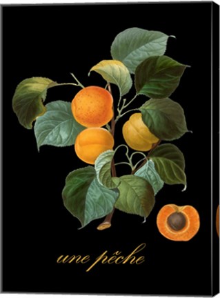 Framed Unpeche Print