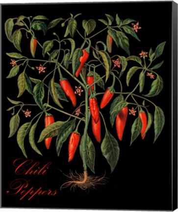 Framed Chili Peppers Print