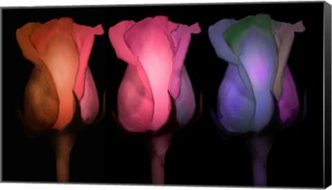 Framed Times Three Print