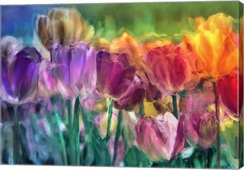 Framed Tulip Farm Print