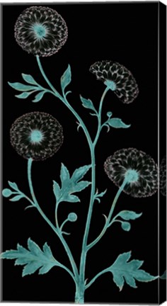 Framed Dandelion Dance Print