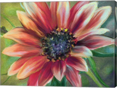 Framed Sundrenched Print