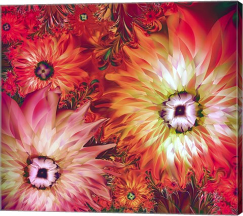 Framed Fire Asters Print