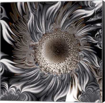 Framed Seeds From the Sun Print