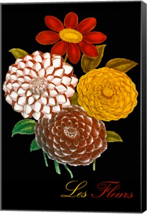 Framed Les Fleurs Print