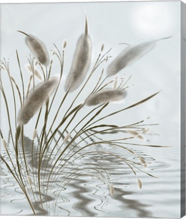 Framed Mourning Willow Pond Print