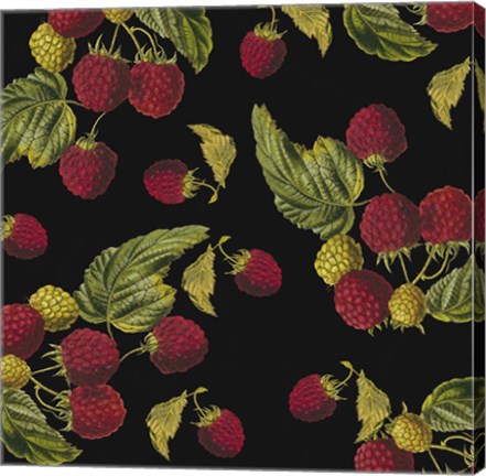 Framed Nature's Bounty -  Raspberries Print