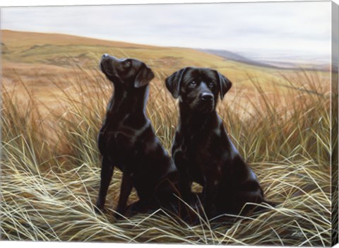 Framed Two Black Labs Print
