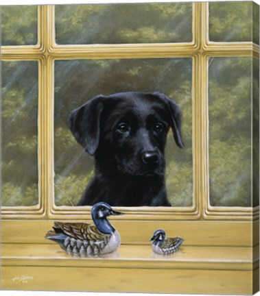 Framed By the Window Print