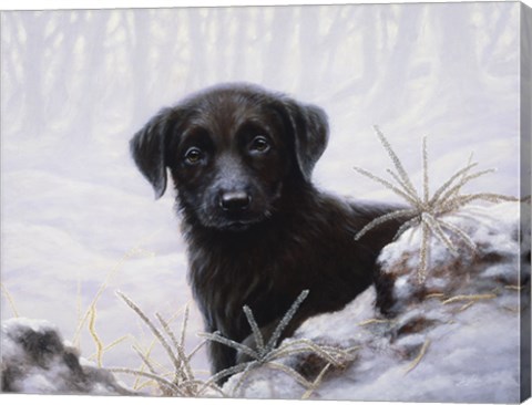 Framed In the Snow Print