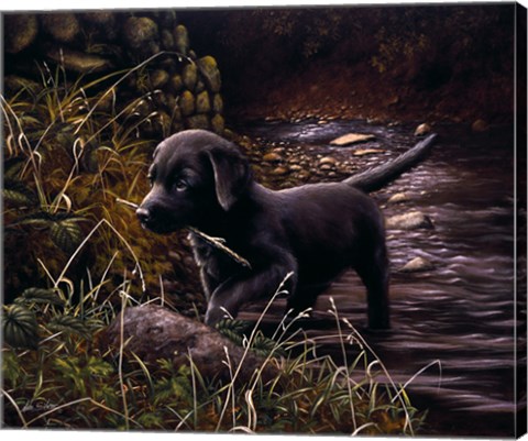 Framed By the Creek Print