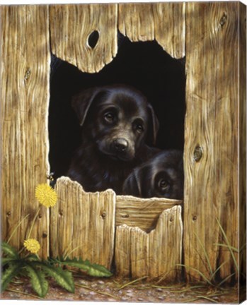 Framed Peek-A-Boo Print