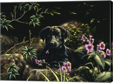 Framed In Amongst the Flowers Print