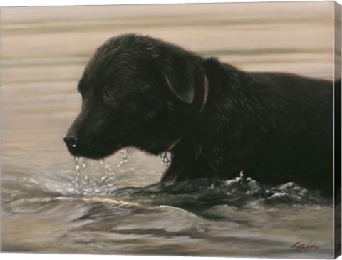 Framed Wading Print