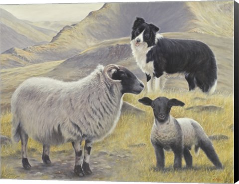 Framed Tending the Sheep Print