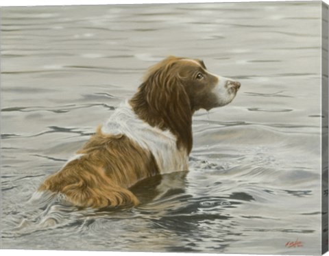 Framed Cooling Off Print