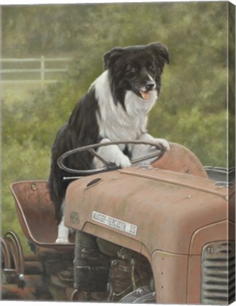 Framed Steering Print