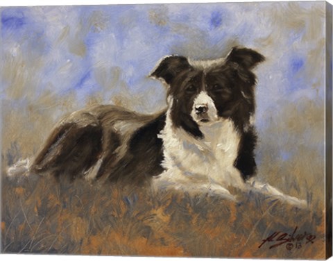 Framed Collie Resting Print