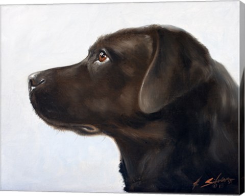 Framed Black Lab 1 Print
