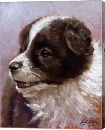 Framed Border Collie 1 Print