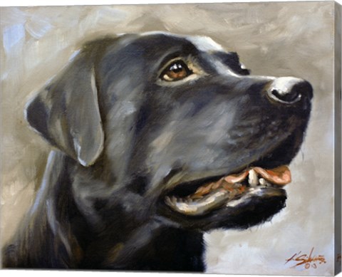 Framed Black Lab 2 Print