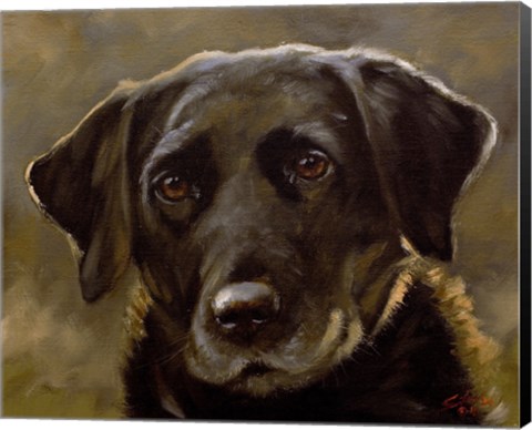 Framed Black Lab 3 Print