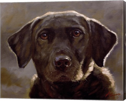 Framed Black Lab 4 Print