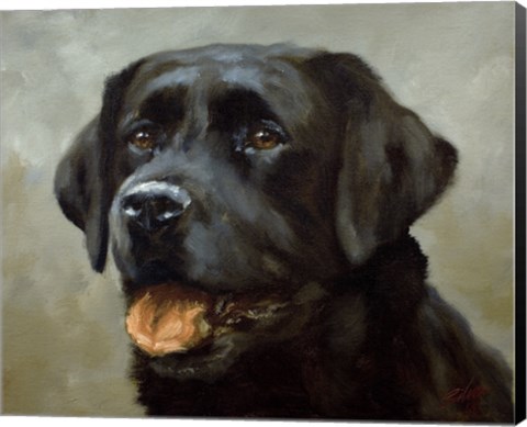 Framed Black Lab 6 Print