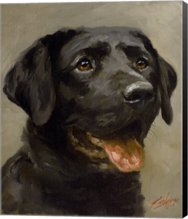 Framed Black Lab 8 Print