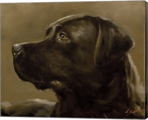 Framed Black Lab 9 Print
