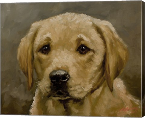 Framed Puppy 1 Print
