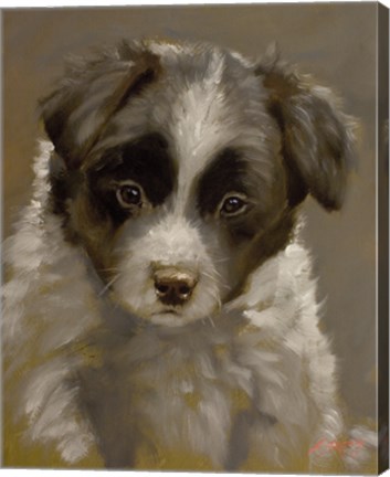 Framed Puppy 2 Print