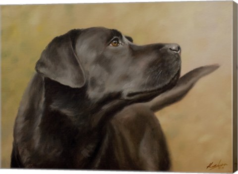 Framed Black Lab 13 Print