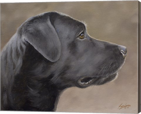 Framed Black Lab 14 Print