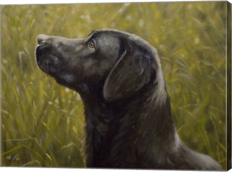 Framed Black Lab 15 Print