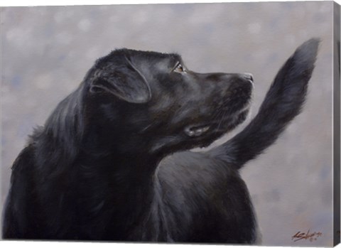 Framed Black Lab 17 Print