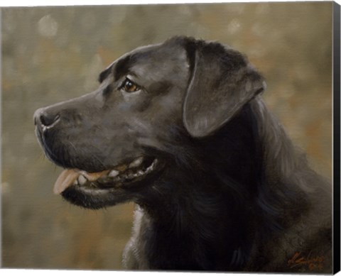 Framed Black Lab 19 Print