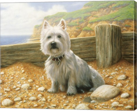 Framed Westie 1 Print