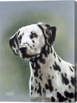 Framed Dalmatian 1 Print