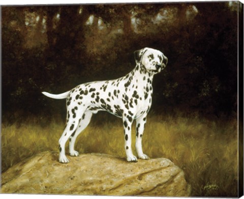 Framed Dalmatian 2 Print