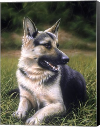 Framed Alsatian Print