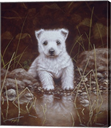 Framed Puppy 1 Print