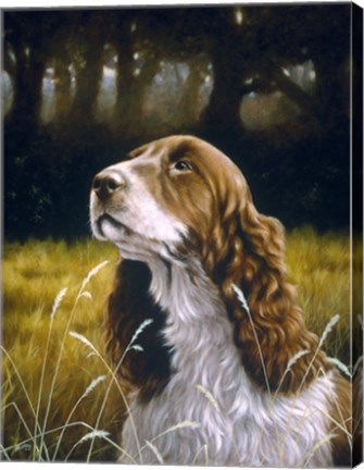 Framed Sniffing Print