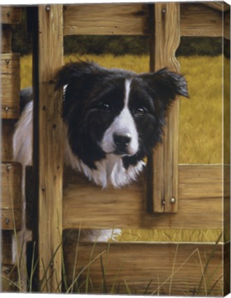 Framed Through the Fence Print