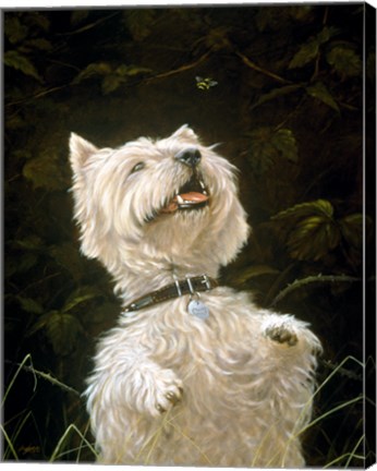 Framed Westie 3 Print