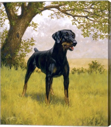 Framed Ready to Go Print