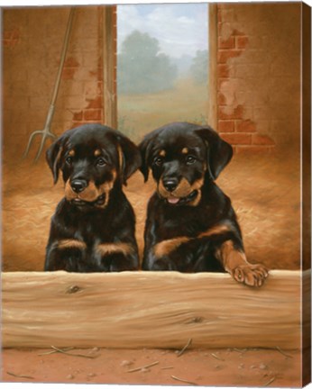 Framed Adorable Print
