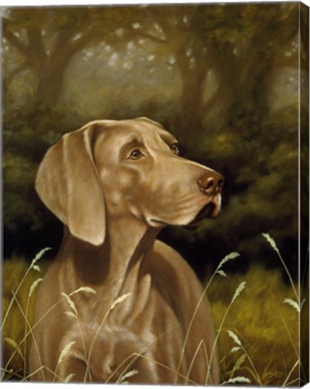 Framed Searching Print